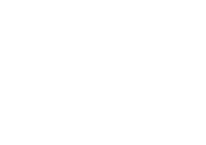 bespoke web application
